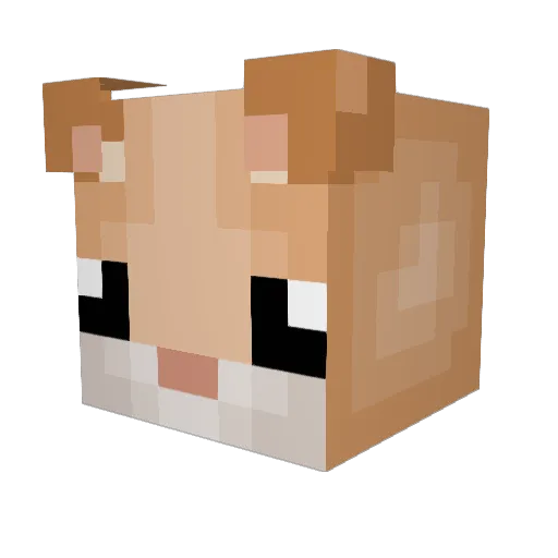 Coffeekat24 Minecraft avatar head, 3D render