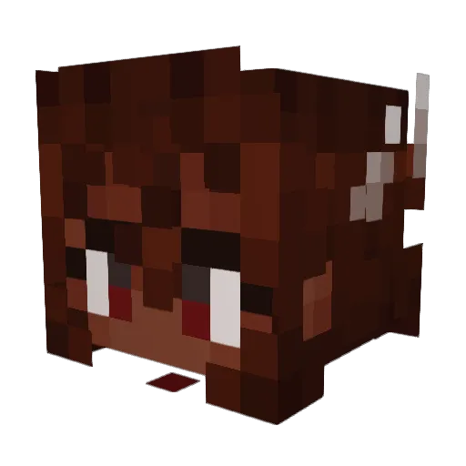 Coffeemuncho Minecraft avatar head, 3D render