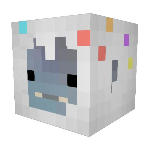 Coffeeti Minecraft avatar head, 3D render