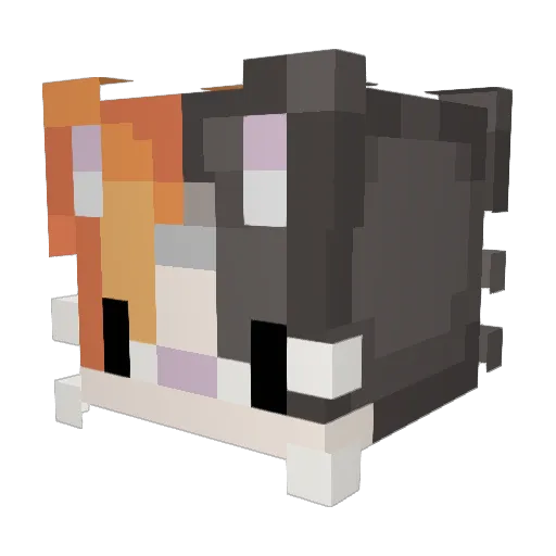 Coffeewas_taken Minecraft avatar head, 3D render