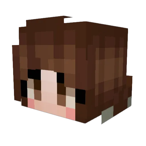 Coffeezhouse Minecraft avatar head, 3D render