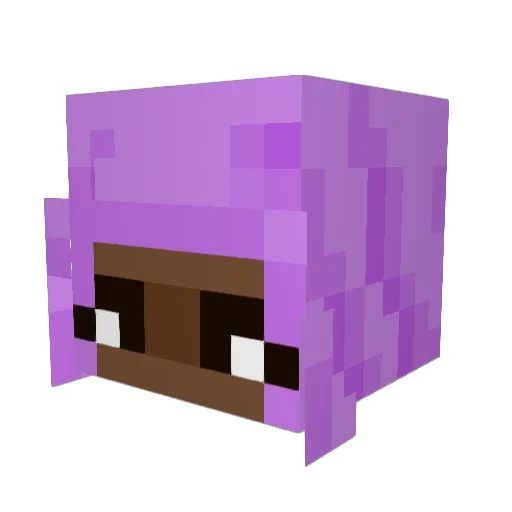 Coffend Minecraft avatar head, 3D render