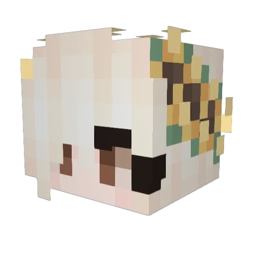CoffeyCake Minecraft avatar head, 3D render