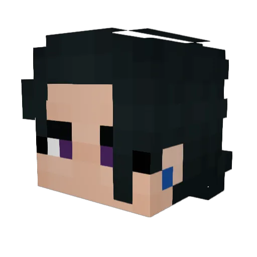 CoffinDuty Minecraft avatar head, 3D render