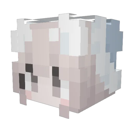 Cofisoul Minecraft avatar head, 3D render
