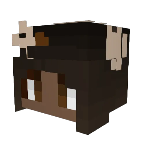 Cogent80420 Minecraft avatar head, 3D render