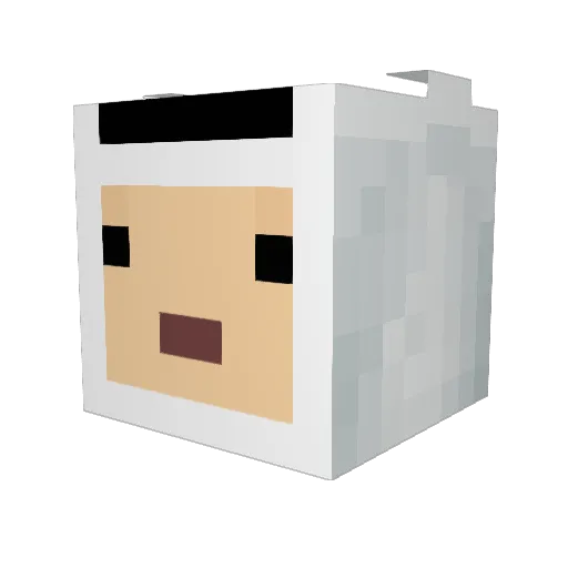 Cogmo1738 Minecraft avatar head, 3D render