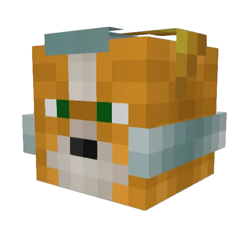 Cohach Minecraft avatar head, 3D render