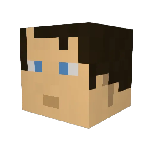 Coholder Minecraft avatar head, 3D render