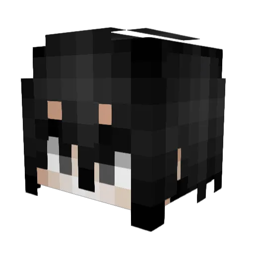 Coidzz Minecraft avatar head, 3D render