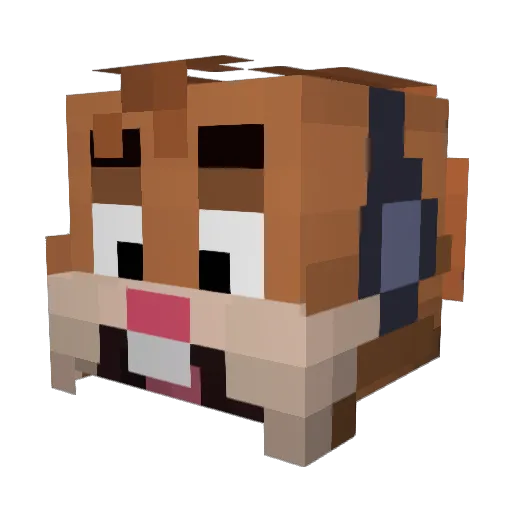 CoinBroom Minecraft avatar head, 3D render
