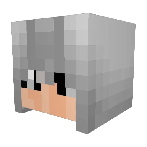 CoinMaster95 Minecraft avatar head, 3D render