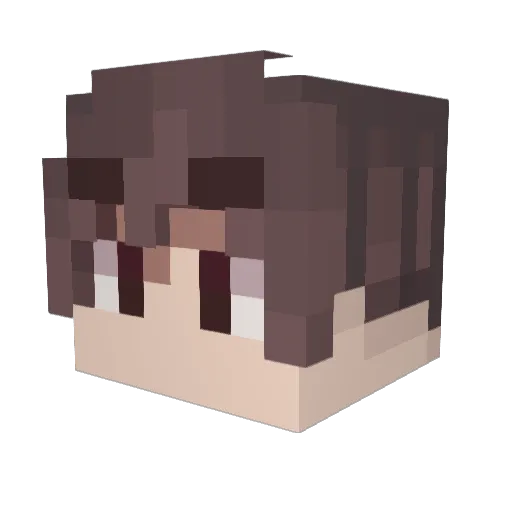 CoinOpDrifter Minecraft avatar head, 3D render
