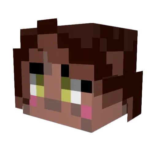 Coin_Fox Minecraft avatar head, 3D render