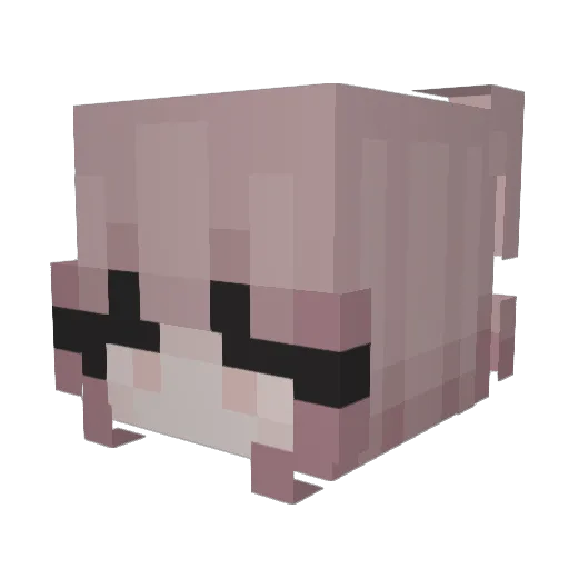 Coin_vE Minecraft avatar head, 3D render