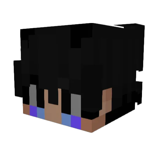 Coinsane Minecraft avatar head, 3D render