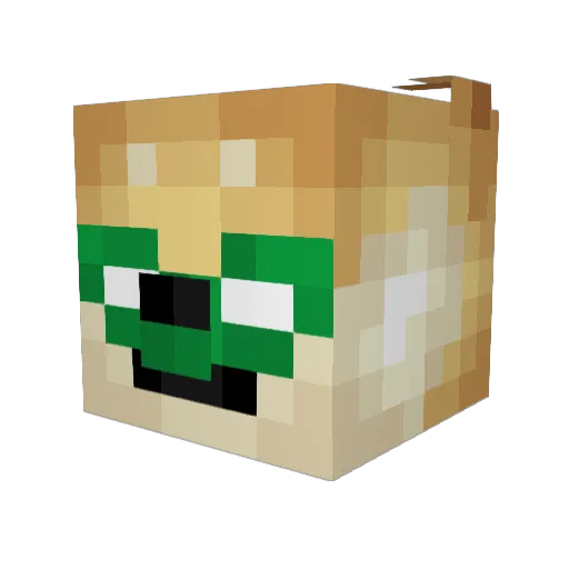 Cois Minecraft avatar head, 3D render