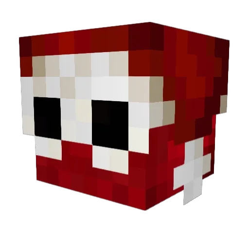 Coitinho Minecraft avatar head, 3D render