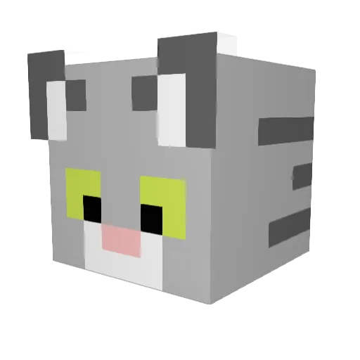 Coji4000 Minecraft avatar head, 3D render