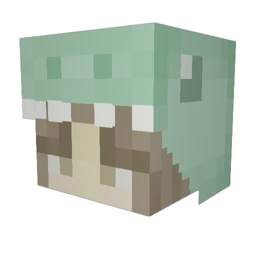 CokeTunas Minecraft avatar head, 3D render