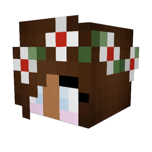 Cokeslayer2 Minecraft avatar head, 3D render