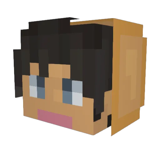 Cokewin Minecraft avatar head, 3D render