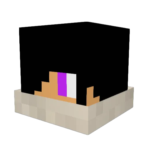 Cokewithnoice Minecraft avatar head, 3D render