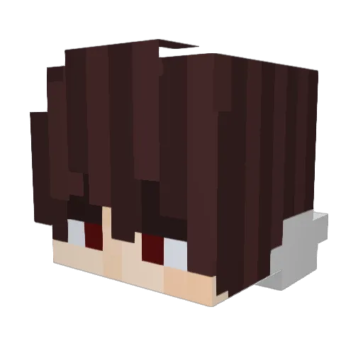 Cokibester554 Minecraft avatar head, 3D render