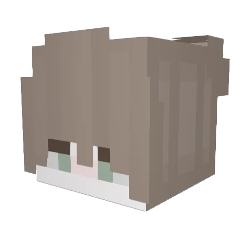 CokieCat Minecraft avatar head, 3D render