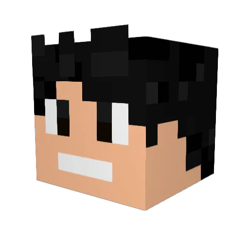 Cokinha_PvP_ Minecraft avatar head, 3D render