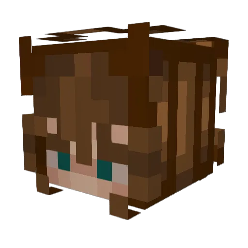 Cokosusenka Minecraft avatar head, 3D render