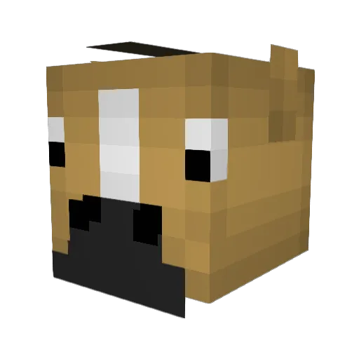 CokyDocky Minecraft avatar head, 3D render