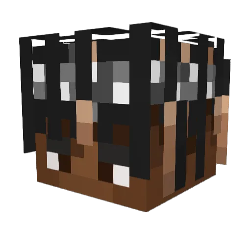 ColPriv Minecraft avatar head, 3D render
