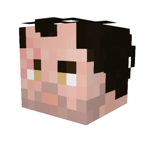 Cola2701 Minecraft avatar head, 3D render