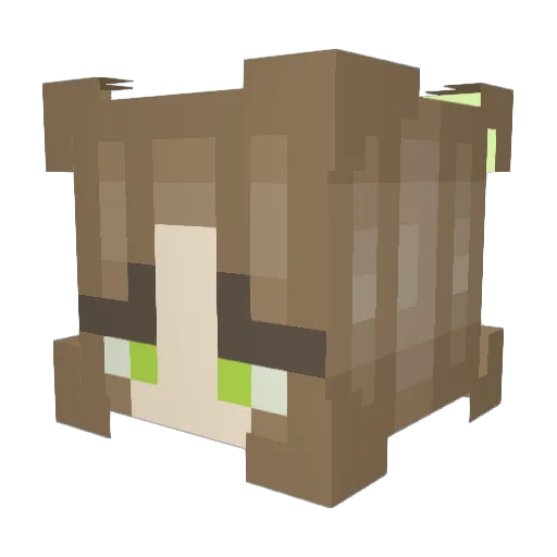 Cola6936 Minecraft avatar head, 3D render