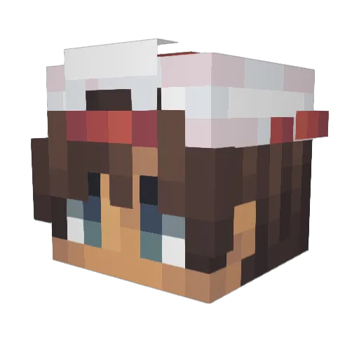 ColaBoy14 Minecraft avatar head, 3D render