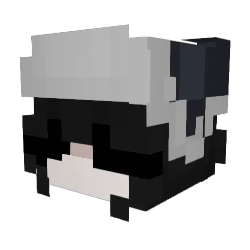 ColaHopHop Minecraft avatar head, 3D render