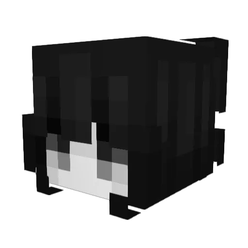 ColaMate Minecraft avatar head, 3D render
