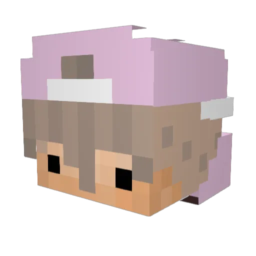 ColaVeterano Minecraft avatar head, 3D render