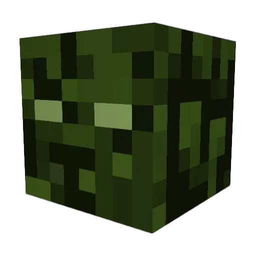 Colbe891 Minecraft avatar head, 3D render