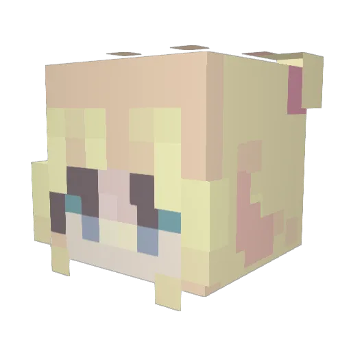 ColdBacon Minecraft avatar head, 3D render