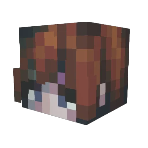 ColdBoll Minecraft avatar head, 3D render