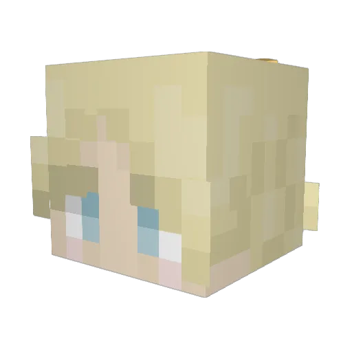ColdBurgerYum Minecraft avatar head, 3D render