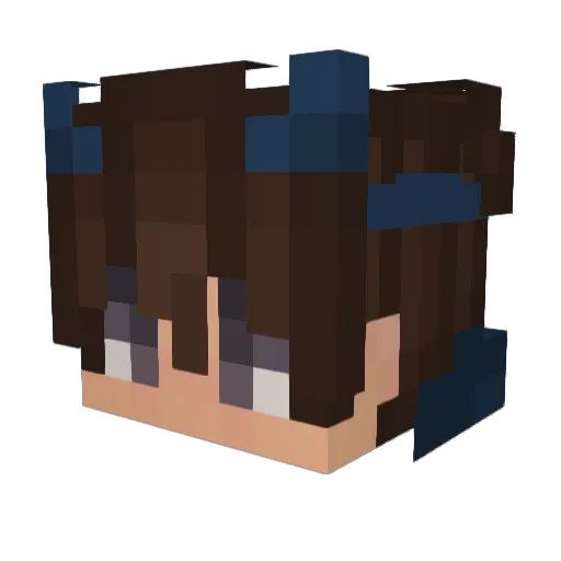 ColdDazzle Minecraft avatar head, 3D render