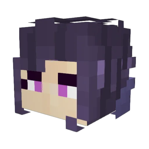 ColdDoge_64 Minecraft avatar head, 3D render