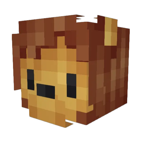 ColdFwish Minecraft avatar head, 3D render
