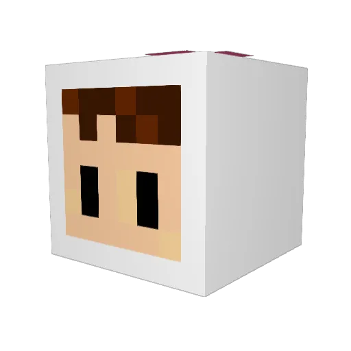 ColdMartyr Minecraft avatar head, 3D render
