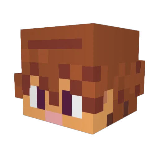 ColdNoodles123 Minecraft avatar head, 3D render