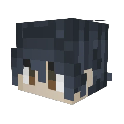 ColdPillow64 Minecraft avatar head, 3D render