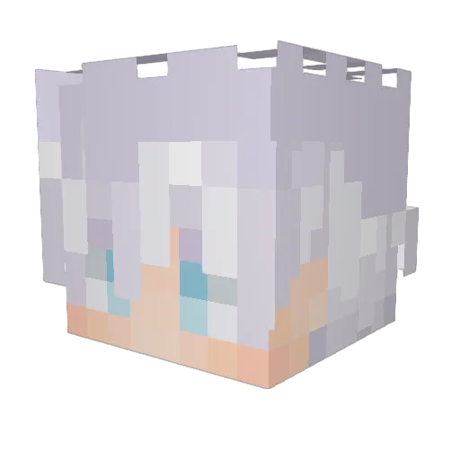 ColdRice_ Minecraft avatar head, 3D render
